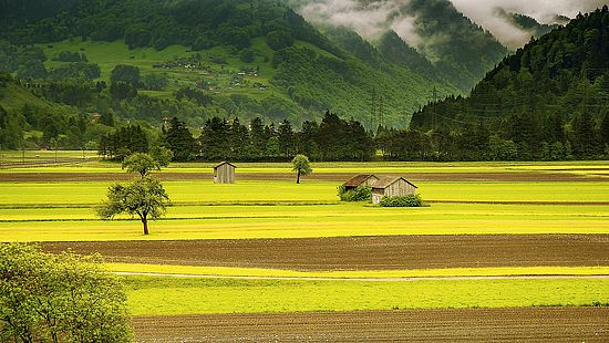 [Translate to English:] Landschaft (Alternativer Text)