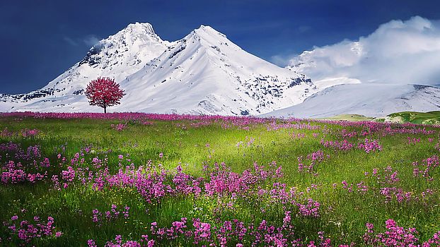 Landschaft